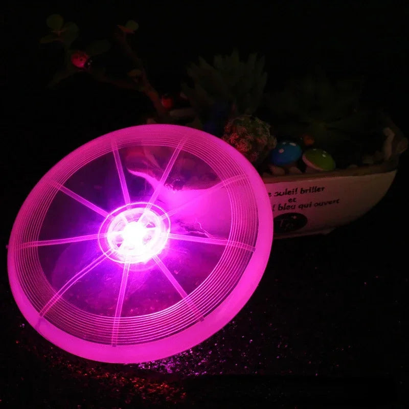 Hign-concerned LED Luminous Flying Disc Dog Toy For Training